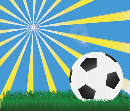 grass football のイラスト素材