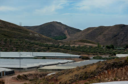 Spanish greenhouse with tomatoes in the mountainsの写真素材
