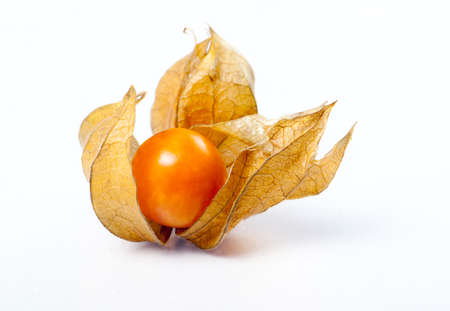 One cape gooseberries isolated on a white backgroundの写真素材