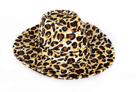 Fashionable hat isolated on white 