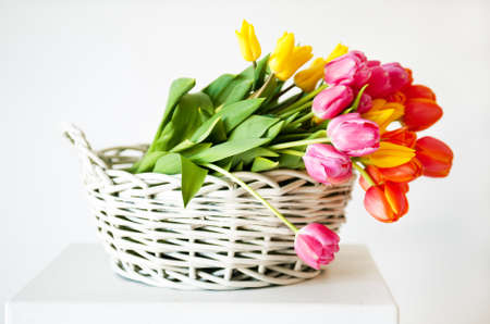 Tulips in the basket 