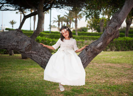 beautiful girl in white dress sitting on a treeの写真素材