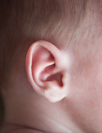 Ear of a newborn baby shot close-up of a macro lens