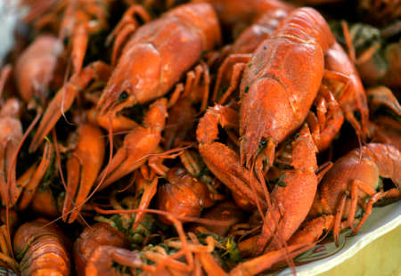 Boiled crayfish close-up, delicious food, diet food.