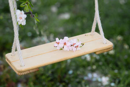 Hanging swings on a background of green grass with flying almonds.の写真素材