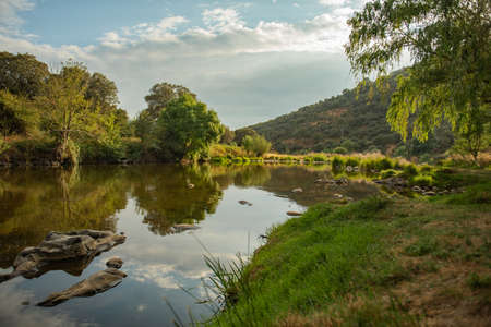 summer landscape with river and blue skyの写真素材