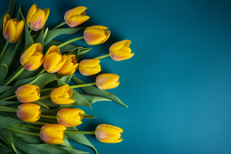 fresh yellow tulips on a blue background with a space for copy.の写真素材