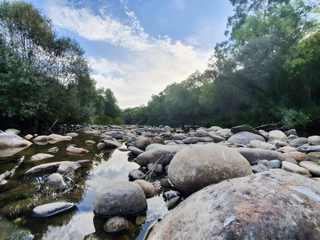 Mountain River in the Woodの写真素材