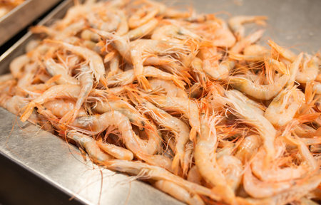 Fresh shrimp are piled on a stainless steel surface, ready for culinary preparationの写真素材