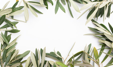 Decorative frame of black olives with green branches in cornersの写真素材
