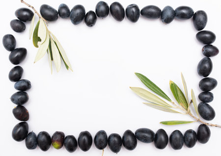 Rectangular frame of fresh green olive branches on white backgroundの写真素材