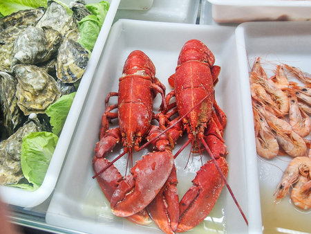 Assortment of luxury seafood on white trays closeup including two large lobsters juicy prawns and closed fresh oyster shellsの写真素材