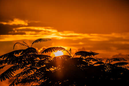 Beautiful photo of sunset in Costa rica. High quality photoの写真素材