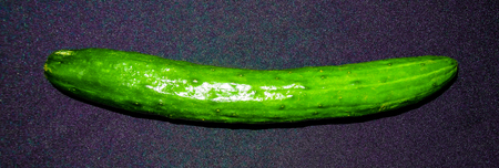 A Japanese cucumber layed on a black clothの写真素材