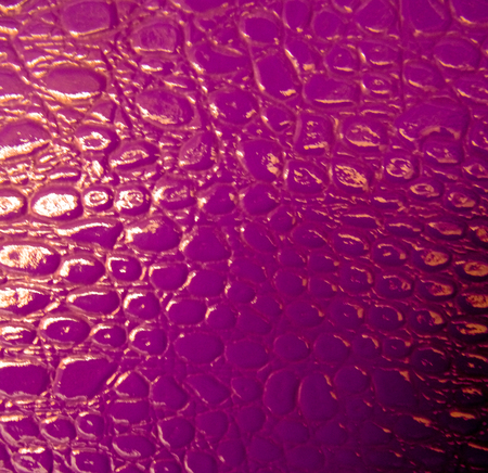 Colored oval patterned wall covering with a shineの写真素材