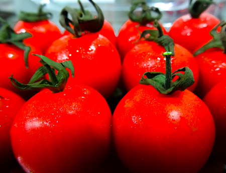 Red shiny cherry tomatoes in a tray close-upの写真素材