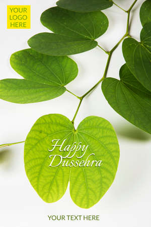 indian festival dussehra, showing golden leaf with traditional indian sweets pedha in silver bowl, Dussehra greeting cardの写真素材