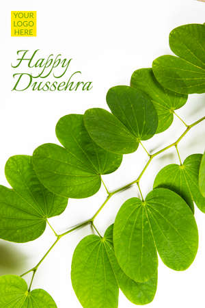indian festival dussehra, showing golden leaf with traditional indian sweets pedha in silver bowl, Dussehra greeting cardの写真素材
