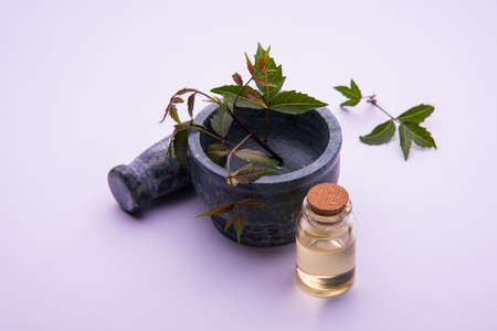 Ayurvedic Herbs Neem with Oil in bottle with mortarの写真素材