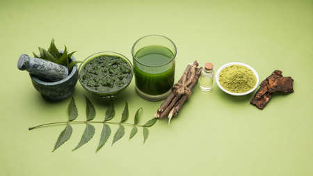 Medicinal Ayurvedic Azadirachta indica or Neem leaves in mortar and pestle with neem paste, juice and twigs, selective focusの写真素材
