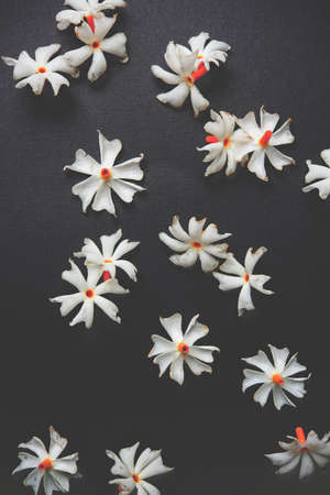 Nyctanthes arbor-tristis or Parijat or prajakt flower typically found in India,asiaの写真素材