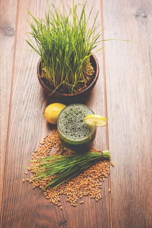 Ayurvedic or medicinal Wheat grass juice with lemon slice in glass, selective focusの写真素材
