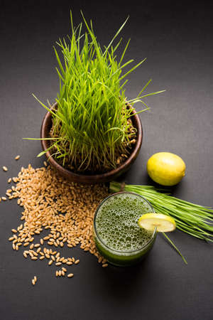 Ayurvedic or medicinal Wheat grass juice with lemon slice in glass, selective focusの写真素材