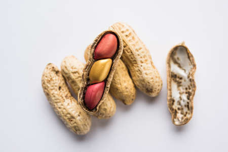 Concept of individuality, luck,value,exclusivity and better choice. Golden peanut or ground nut, standing out amongst normal peanuts, over black or white backgroundの写真素材