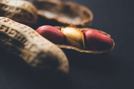 Concept of individuality, luck,value,exclusivity and better choice. Golden peanut or ground nut, standing out amongst normal peanuts, over black or white backgroundの写真素材