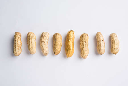 Concept of individuality, luck,value,exclusivity and better choice. Golden peanut or ground nut, standing out amongst normal peanuts, over black or white backgroundの写真素材
