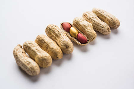 Concept of individuality, luck,value,exclusivity and better choice. Golden peanut or ground nut,...