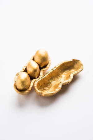 Concept of individuality, luck,value,exclusivity and better choice. Golden peanut or ground nut, standing out amongst normal peanuts, over black or white backgroundの写真素材