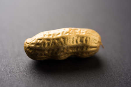 Concept of individuality, luck,value,exclusivity and better choice. Golden peanut or ground nut, standing out amongst normal peanuts, over black or white backgroundの写真素材