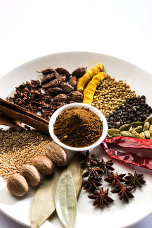 Indian Garam Masala powder or Spice mix. Selective focusの写真素材
