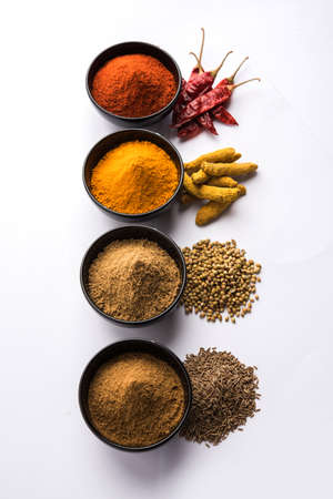 Indian colourful spices. Group photo of four basic Indian spices like raw red chilli, turmeric, coriander and cumin powder. selective focusの写真素材