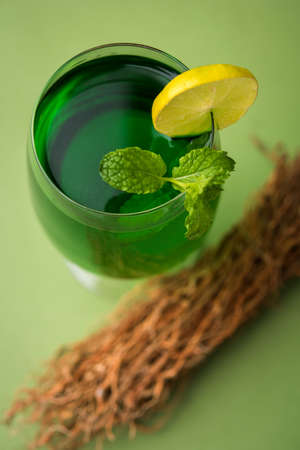 Green KHUS Sharbat or Vetiver grass extract or Chrysopogon zizanioides served in tall glass with mint leaf, popular summertime refreshing drink from Indiaの写真素材