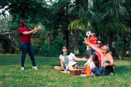 Indian Family enjoying Picnic - Multi generation of asian family sitting over lawn or green grass in...