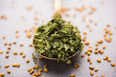Kasuri Methi / Kasoori Methi or dried fenugreek leaves also known as Trigonella Foenum Graecumの写真素材