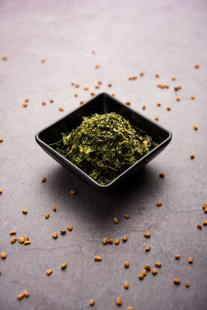 Kasuri Methi / Kasoori Methi or dried fenugreek leaves also known as Trigonella Foenum Graecumの写真素材
