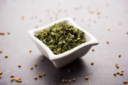 Kasuri Methi / Kasoori Methi or dried fenugreek leaves also known as Trigonella Foenum Graecumの写真素材