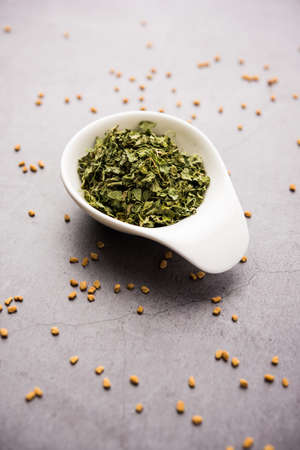 Kasuri Methi / Kasoori Methi or dried fenugreek leaves also known as Trigonella Foenum Graecumの写真素材