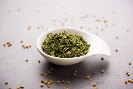 Kasuri Methi / Kasoori Methi or dried fenugreek leaves also known as Trigonella Foenum Graecumの写真素材