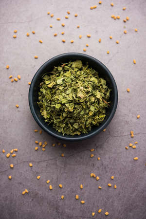 Kasuri Methi / Kasoori Methi or dried fenugreek leaves also known as Trigonella Foenum Graecumの写真素材