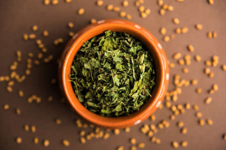 Kasuri Methi / Kasoori Methi or dried fenugreek leaves also known as Trigonella Foenum Graecumの写真素材