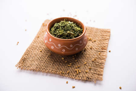 Kasuri Methi / Kasoori Methi or dried fenugreek leaves also known as Trigonella Foenum Graecumの写真素材