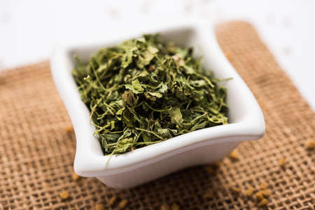 Kasuri Methi / Kasoori Methi or dried fenugreek leaves also known as Trigonella Foenum Graecumの写真素材