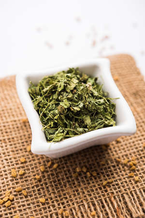 Kasuri Methi / Kasoori Methi or dried fenugreek leaves also known as Trigonella Foenum Graecumの写真素材