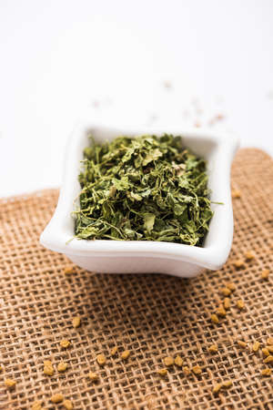 Kasuri Methi / Kasoori Methi or dried fenugreek leaves also known as Trigonella Foenum Graecumの写真素材