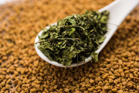 Kasuri Methi / Kasoori Methi or dried fenugreek leaves also known as Trigonella Foenum Graecum