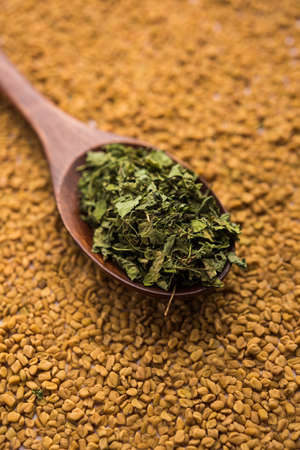 Kasuri Methi / Kasoori Methi or dried fenugreek leaves also known as Trigonella Foenum Graecum